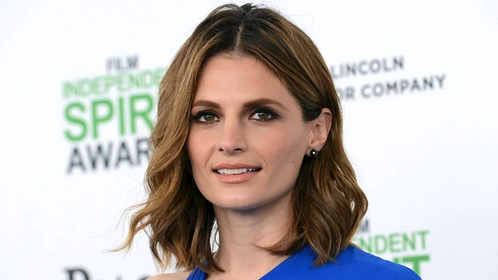 Stana Katic 2021