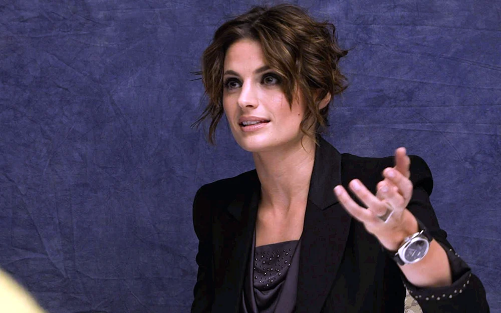 Stana Katic Castle