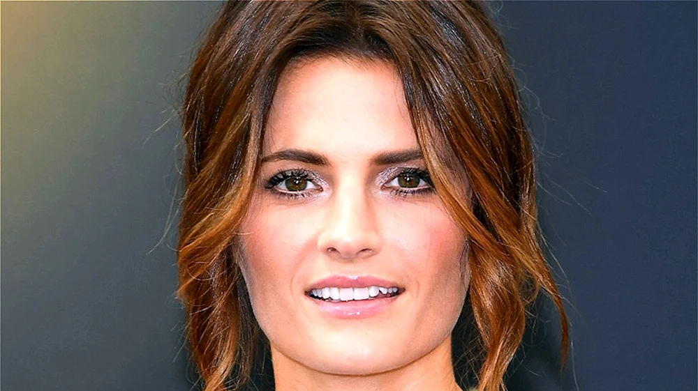 Stana Katic Schauspielerin. Castle