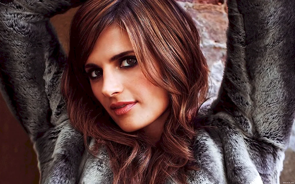 Stana Katic Schauspielerin