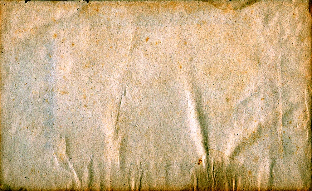 Papyrus