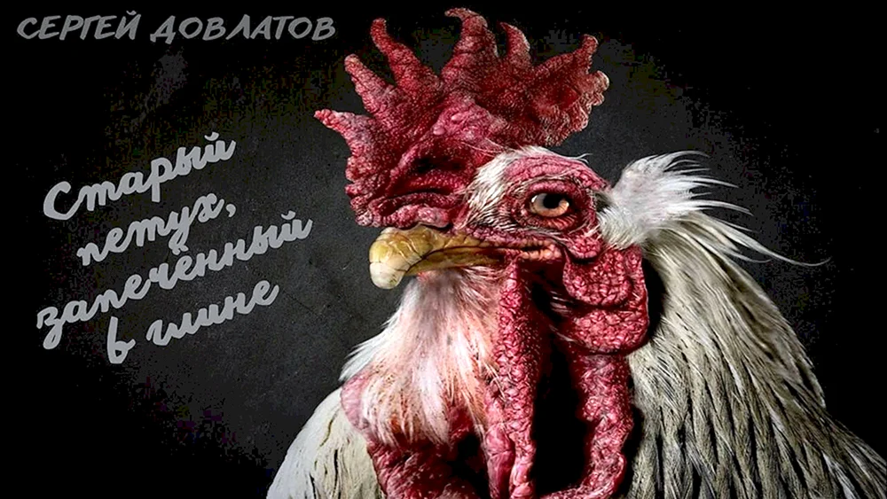 Altes Huhn