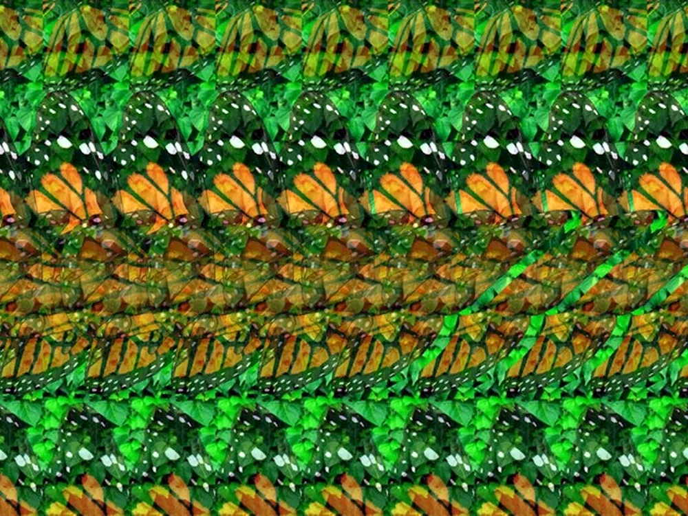 Stereogramme Magic Eye