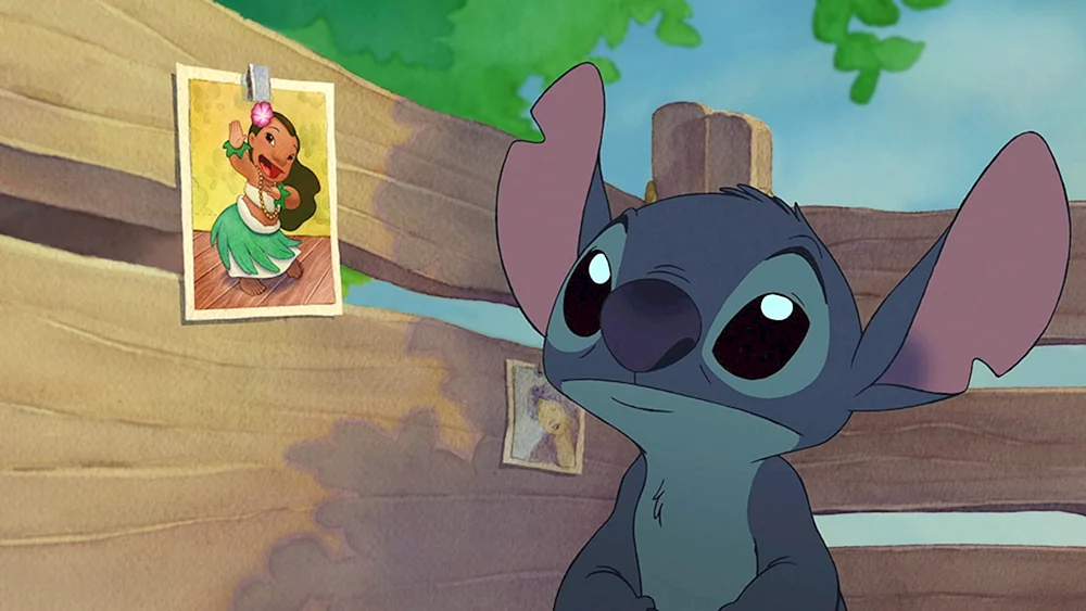 Stitch