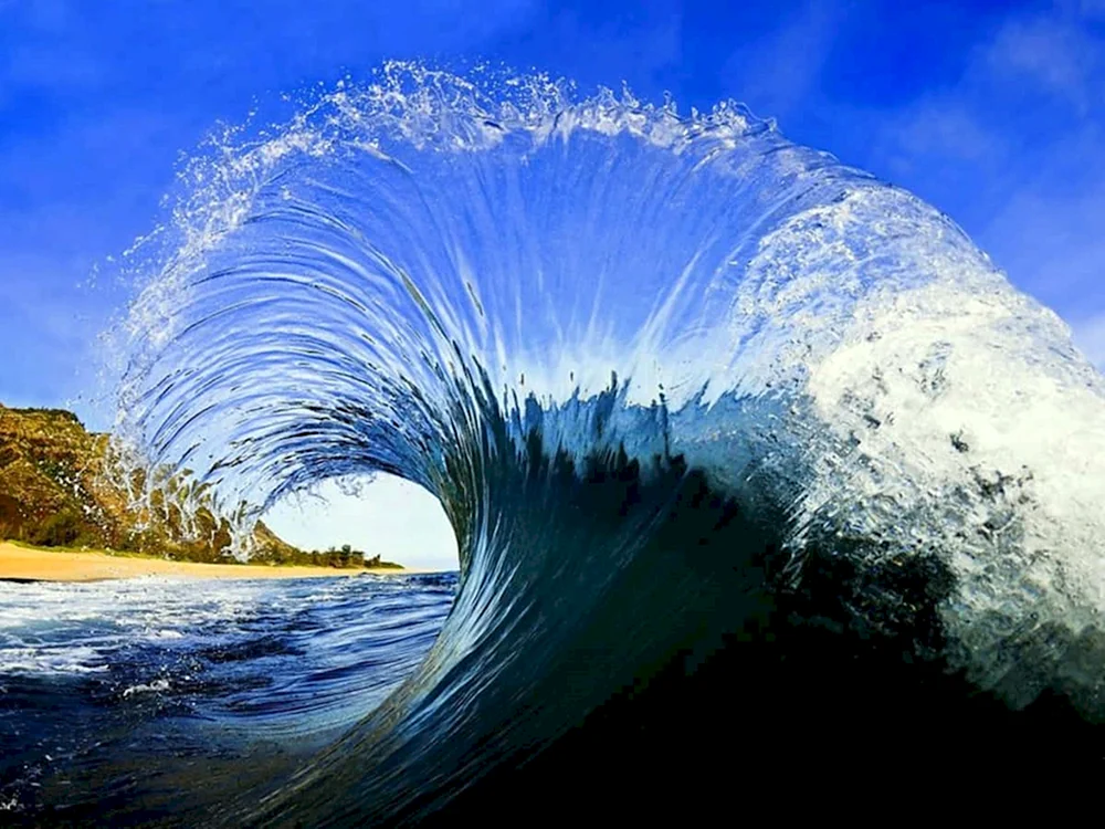 Das Element Wasser Clark Little