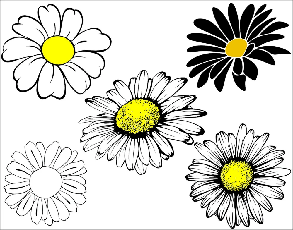 Gänseblümchen zum Ausmalen für Kinder