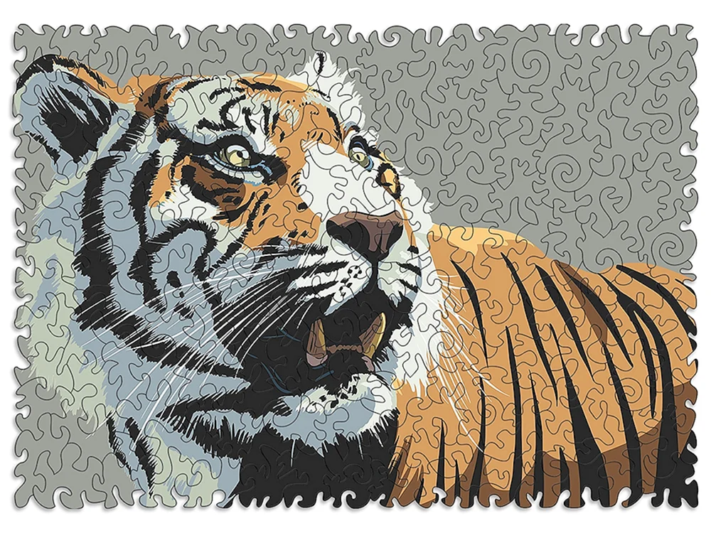 Tiger Zeichnung