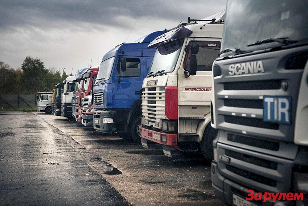 Männliche Lastkraftwagenfahrer