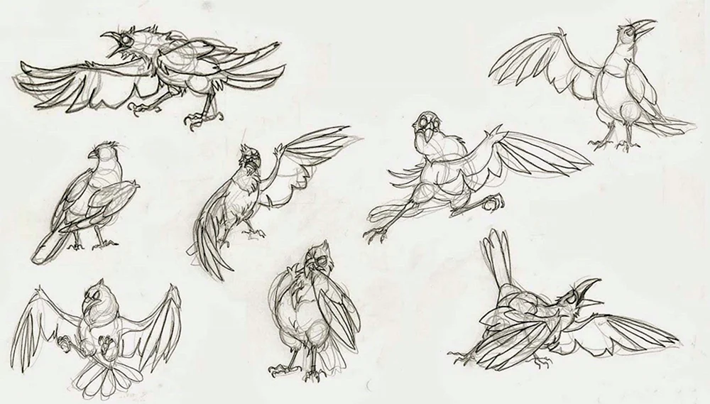 Vogelflügel Referenz Anatomie