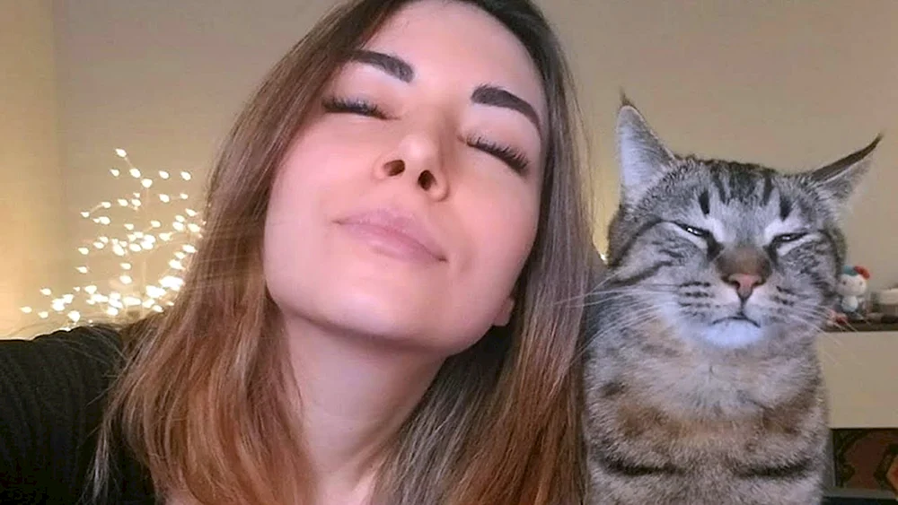 Alinity Divine