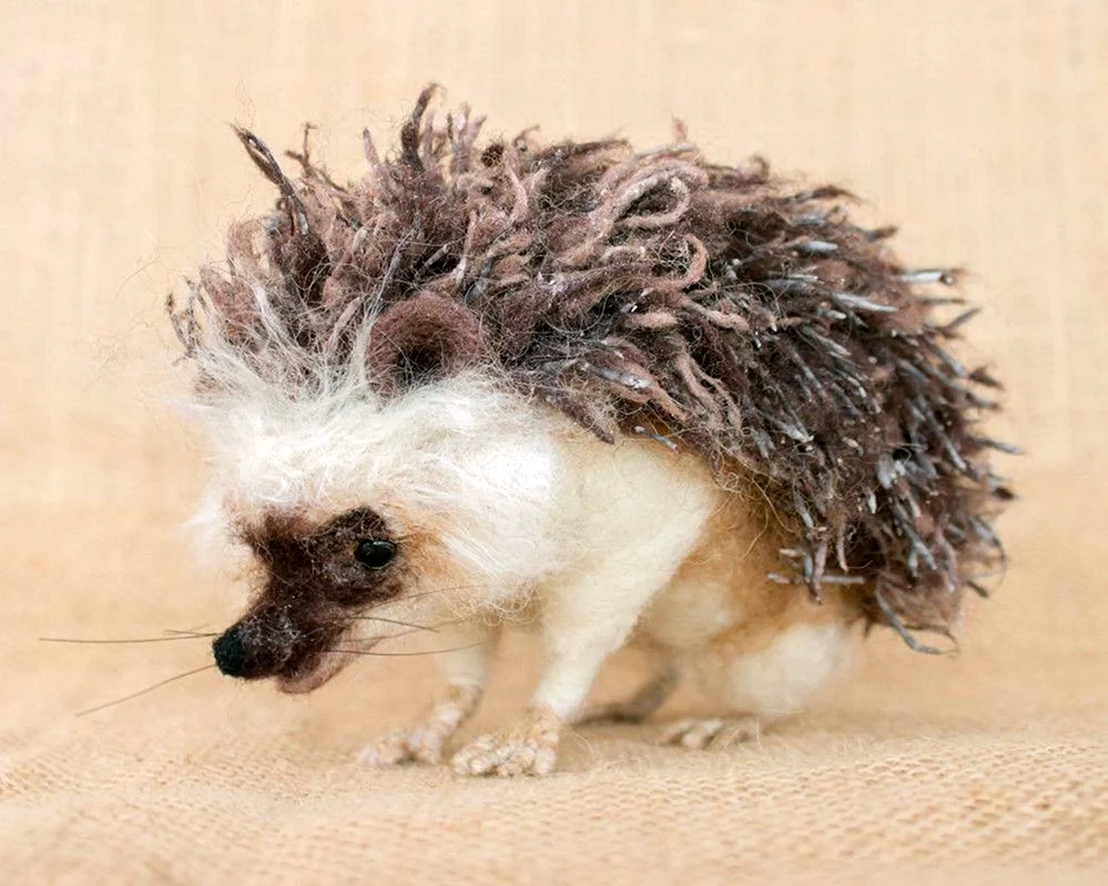Hedgehog Haarschnitt