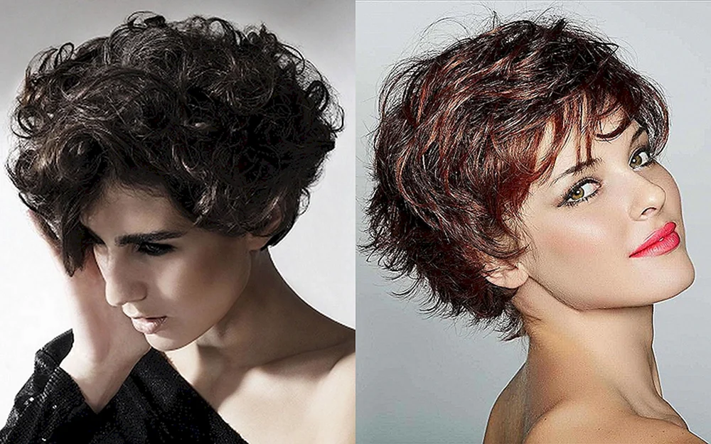 Locken 2023