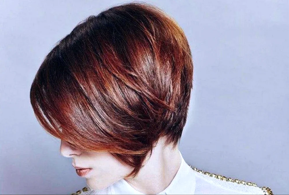 Farbe für bob bob