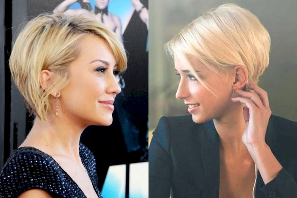 Stufiger Bob Pixie bob