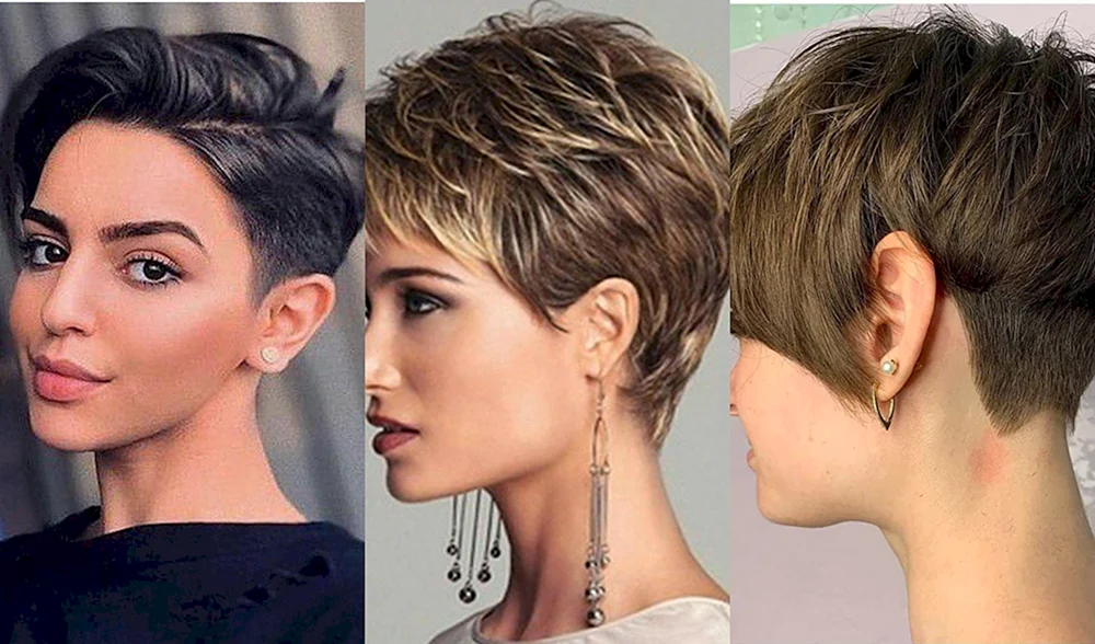 Bob Tracy haircut. Garson auf kurzen Haaren