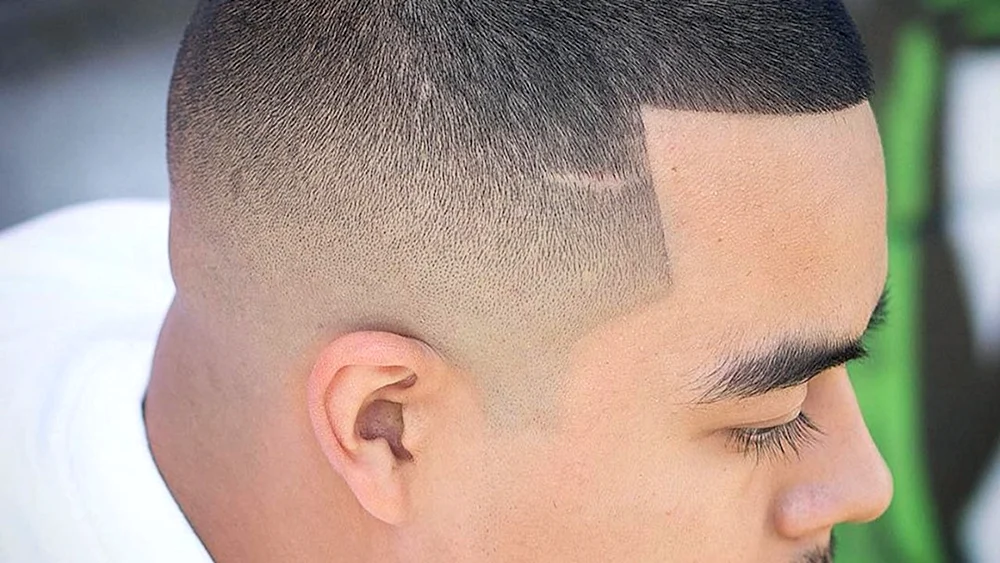 Hedgehog haircut