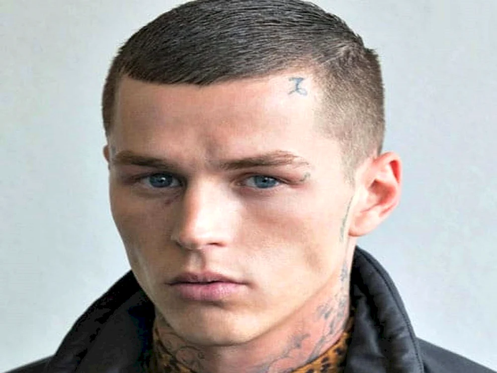 Buzz Buzz Cut