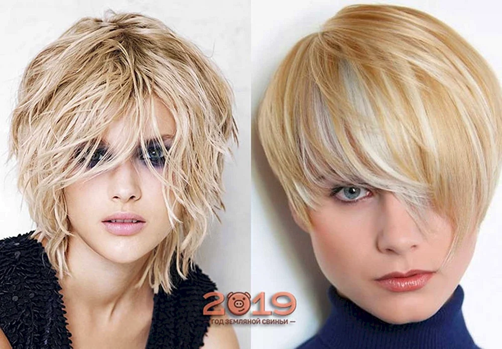 Debut Haarschnitt auf kurzem Haar