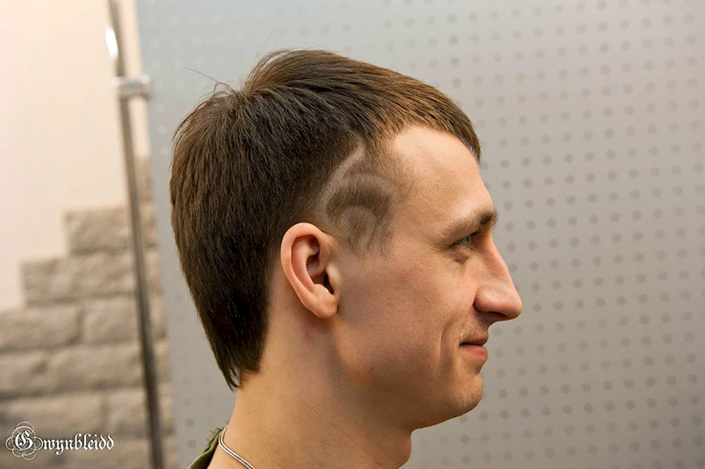 Mallet Haarschnitt. Irokesenschnitt Irokesenschnitt Drachenhaarschnitt für Jungen Ungewöhnliche Haarschnitte für Männer Haarschnitte für Jungen Kanadischer Unterkater Haarschnitte für Jungen Andercat