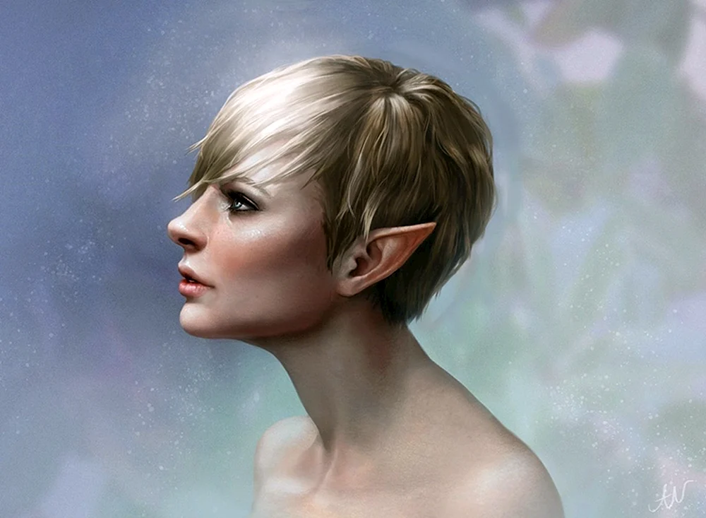 Elfenfrisur