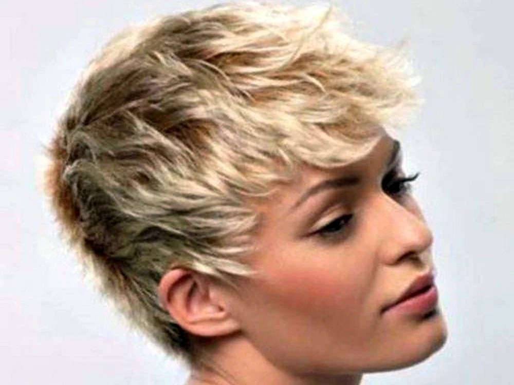 Mireille Mathieu Gavroche