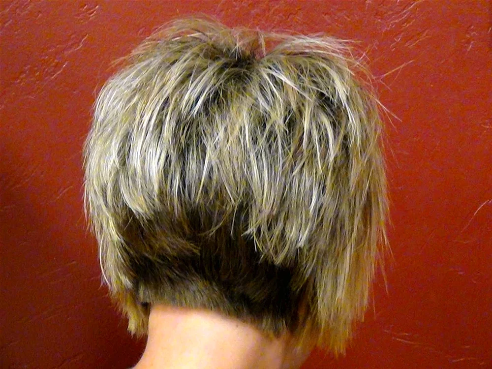 Stufiger Bob Cascade Bob mit kurzem Oberteil