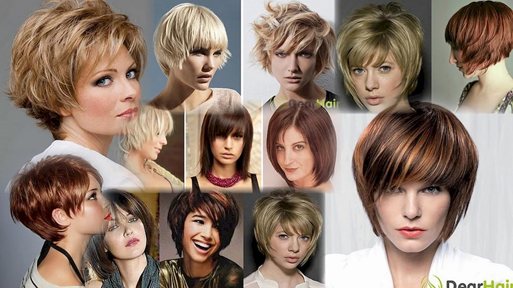 Stufiger Bob Sesson