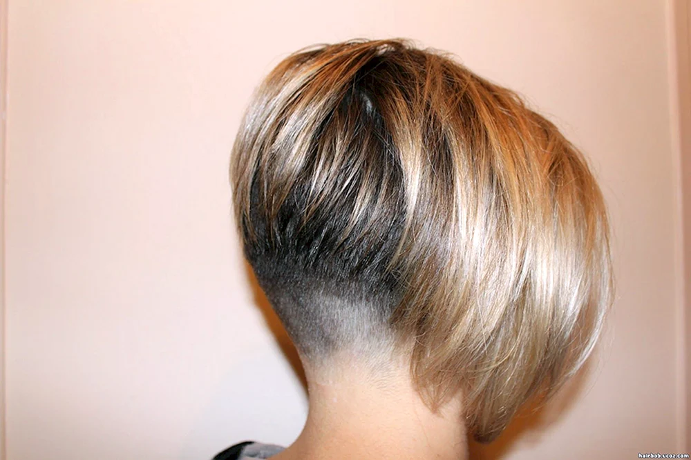 Pixie-Bob-Haarschnitt mit geschlossenen Ohren