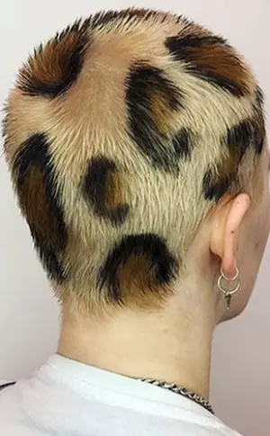 Leopardenhaarschnitt für Männer