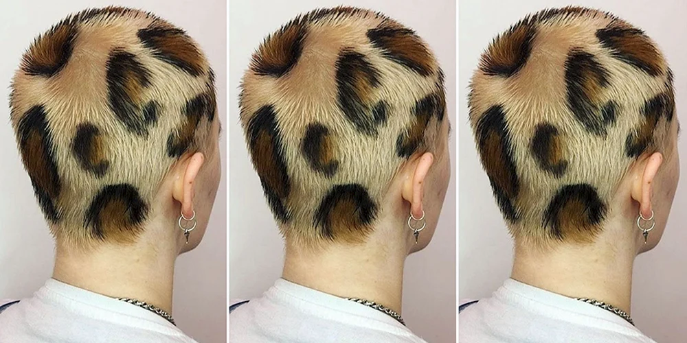 Leopardenhaarschnitt für Männer