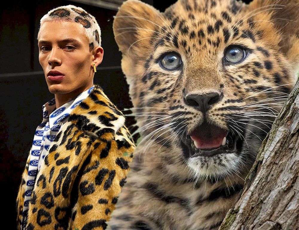 Streifen Leopard Männer