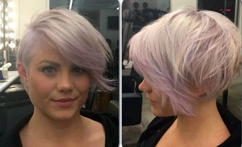 Gavroche Pixie bob