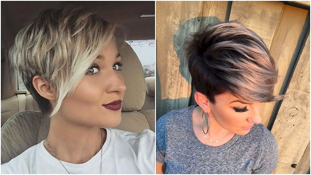 Langer Pixie-Bob