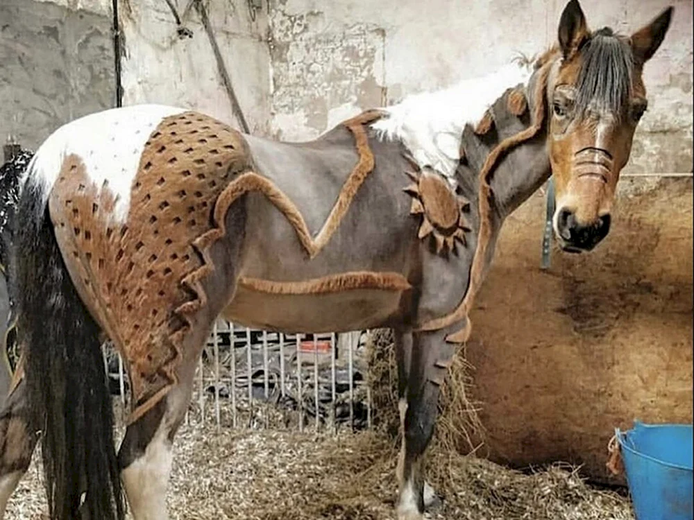 Pferd mit geflochtener Mähne