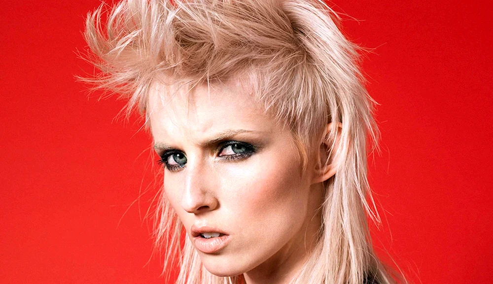 Mallet HaarschnittMallet Shag Mullet