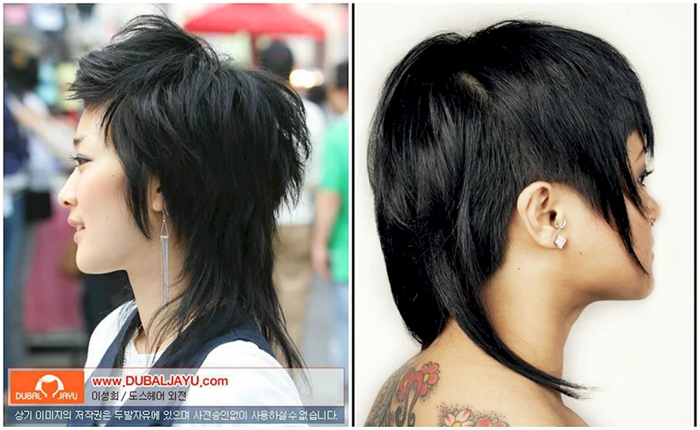 Pixie Gavroche haircut