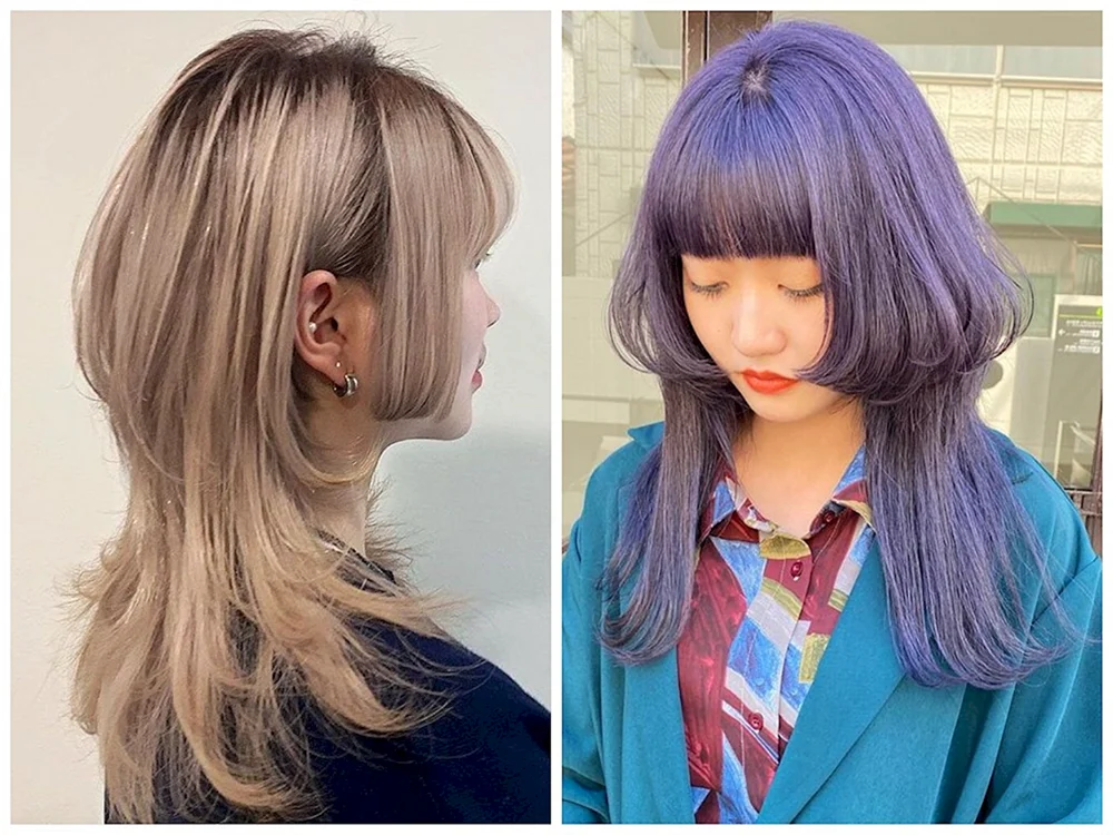 Pixie Bob Haarschnitt mit geschlossenen Ohren