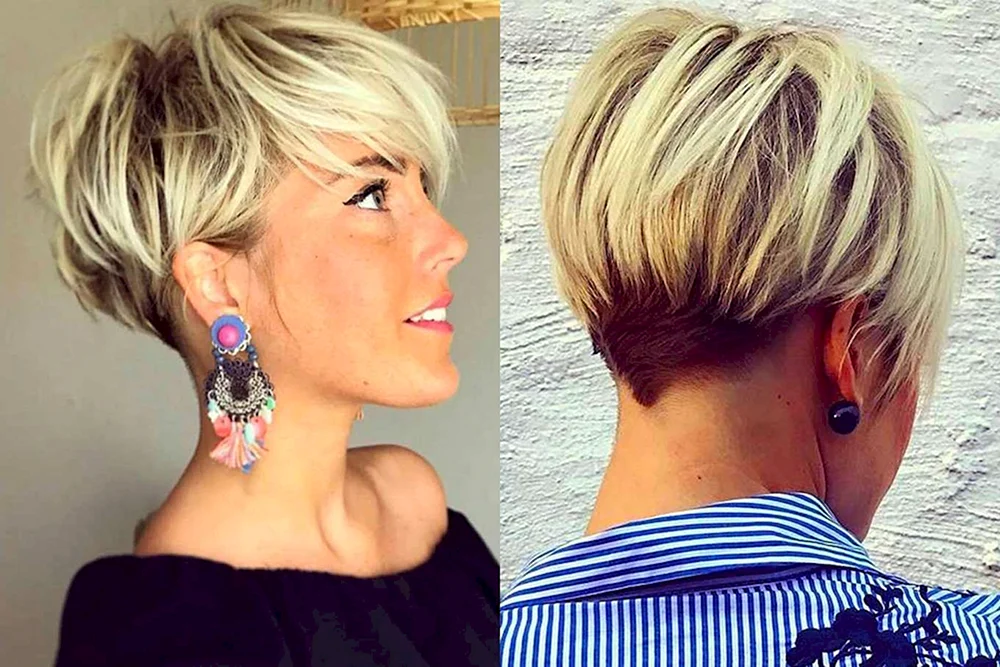 Pixie Bob Haarschnitt Bob