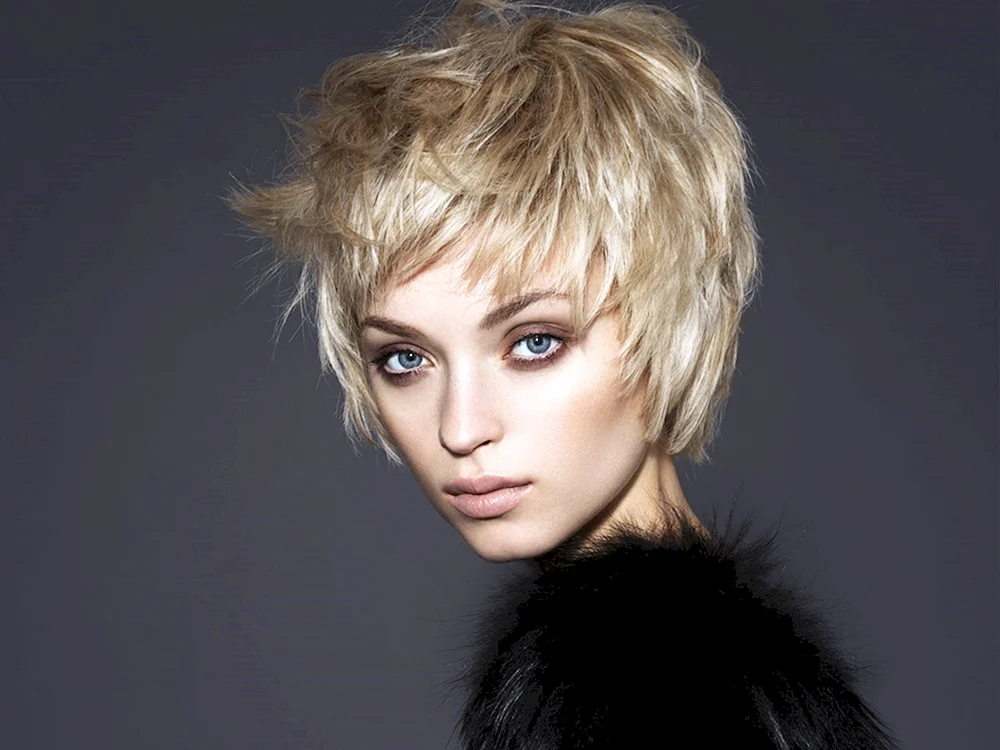 Pixie Garson Pixie Bob