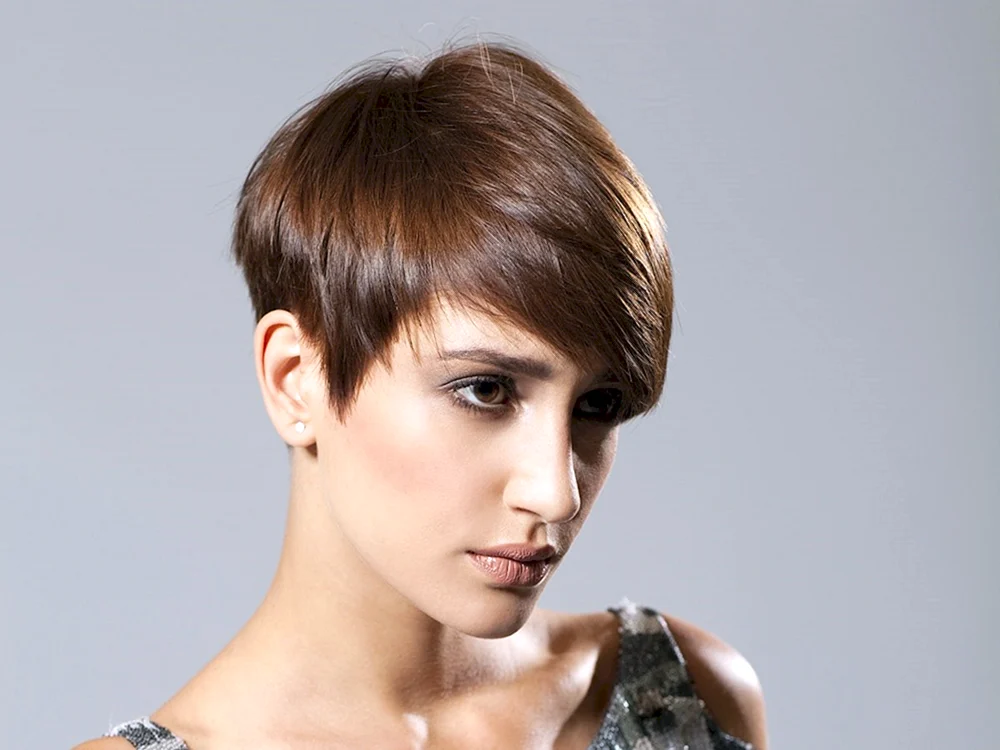 Haarschnitt Pixie Gavroche