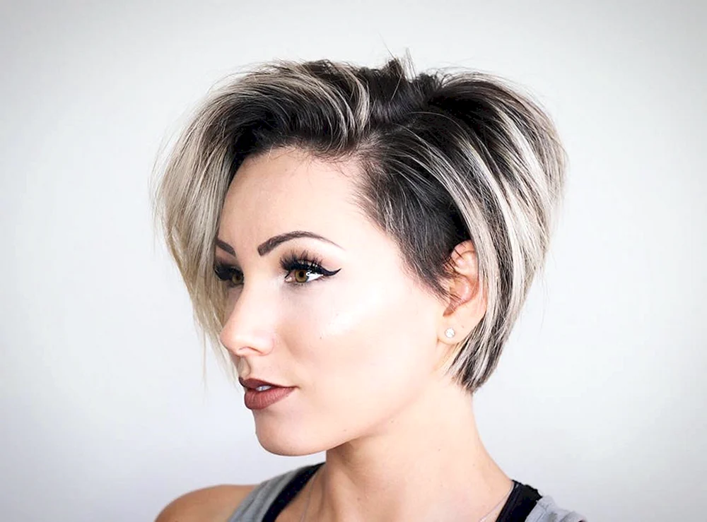 Pixie Bob und Bob Kaskade