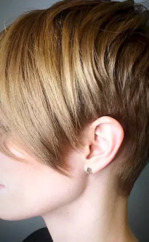 Pixie-Haarschnitt. Pixie Bob für kurze Haare