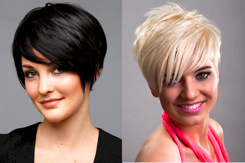 Pixie Bob für kurzes Haar
