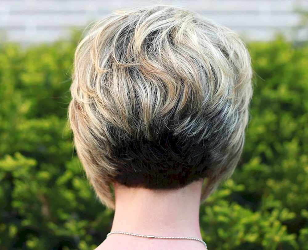 Pixie Bob Beanie Haarschnitt