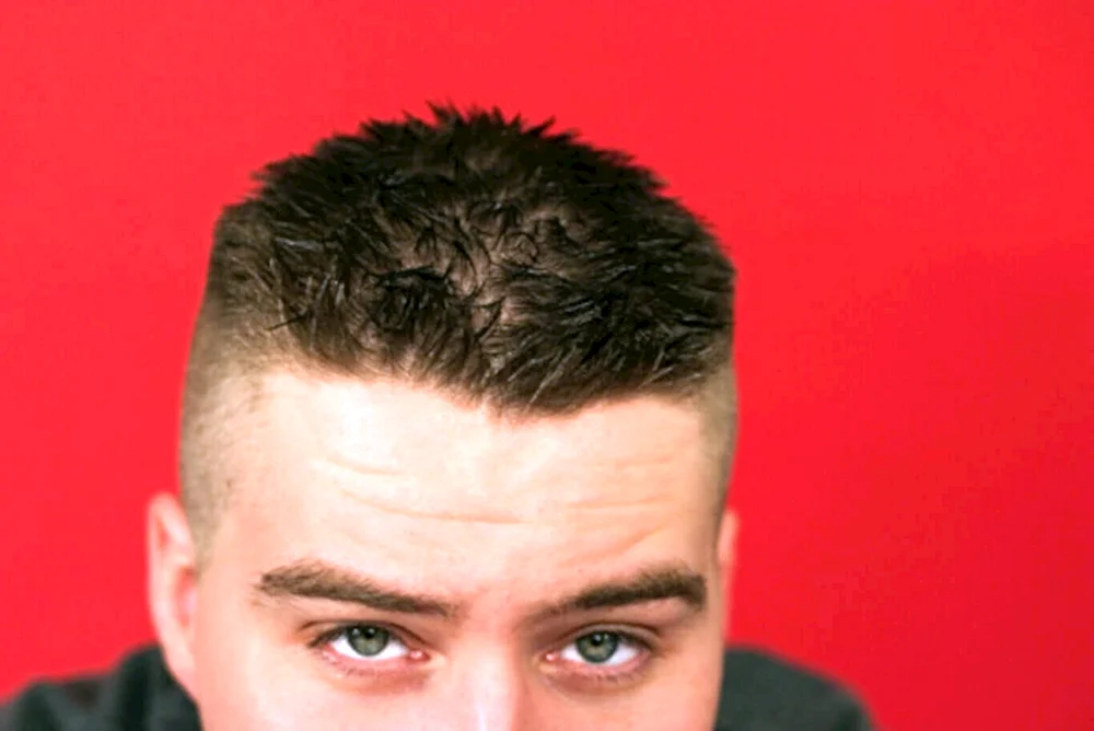 Hedgehog bob haircut