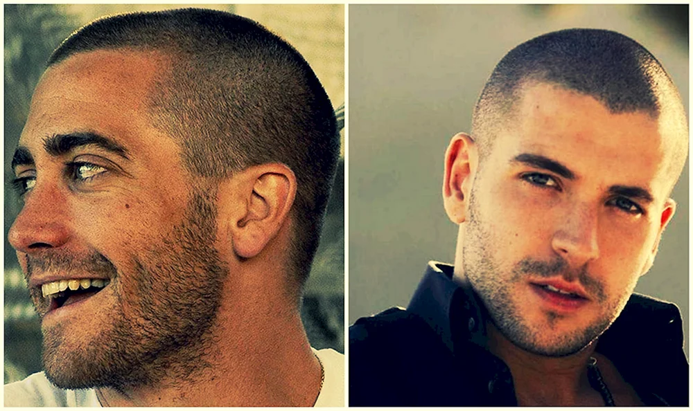 Shayne Ward