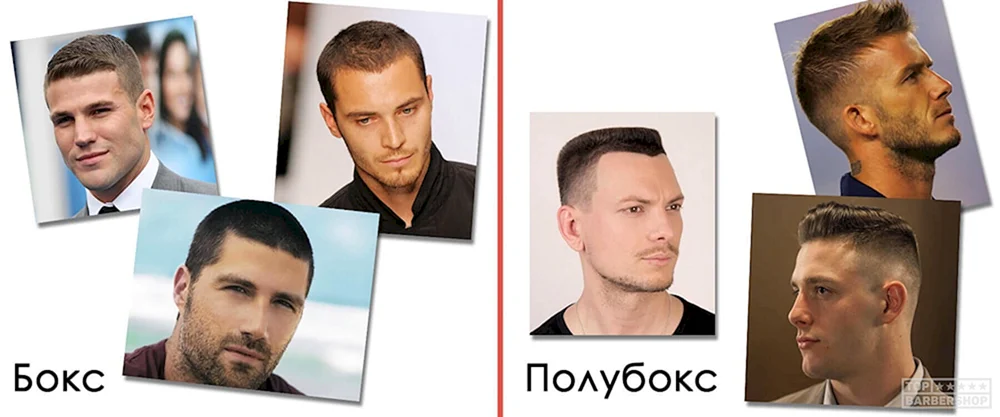 Half-box haircut