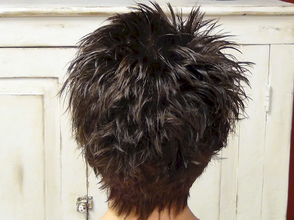 Hedgehog haircut with ruffled nape