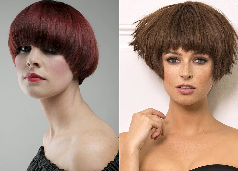 Pixie bob haircut
