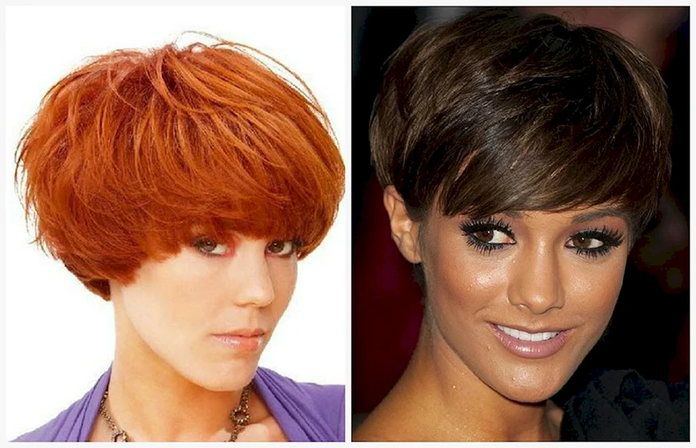 Sesson Bob Haarschnitt. sesson bob sesson pixie bob pixie bob Garson.